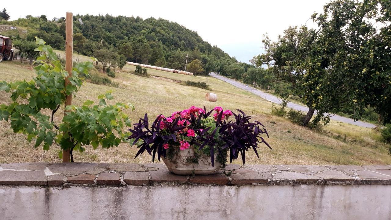 Torricella Peligna Agriturismo Persichitti מראה חיצוני תמונה