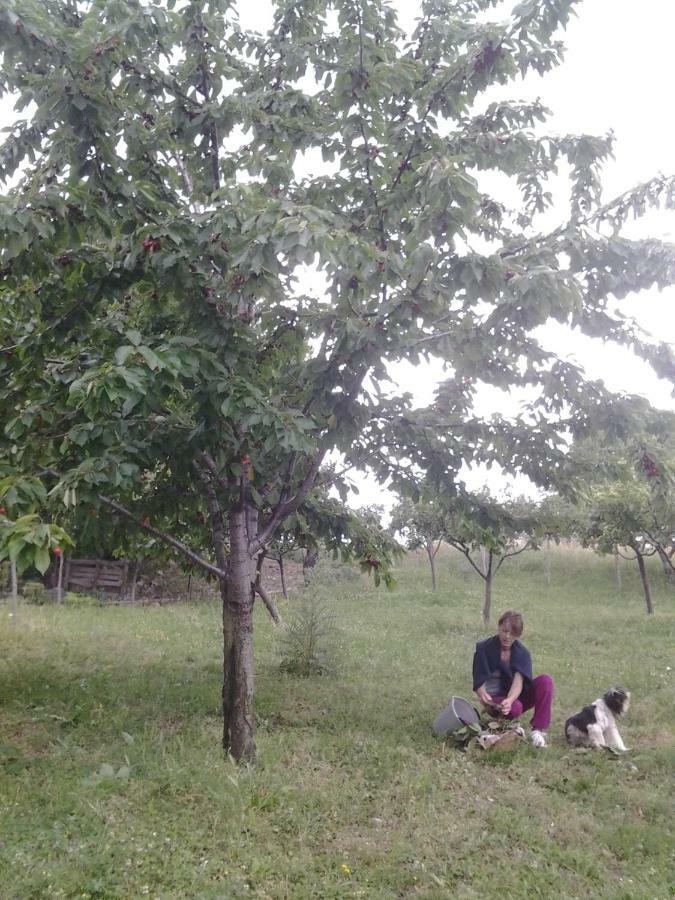 Torricella Peligna Agriturismo Persichitti מראה חיצוני תמונה